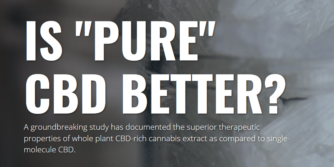 Screenshot 2022-06-17 174005