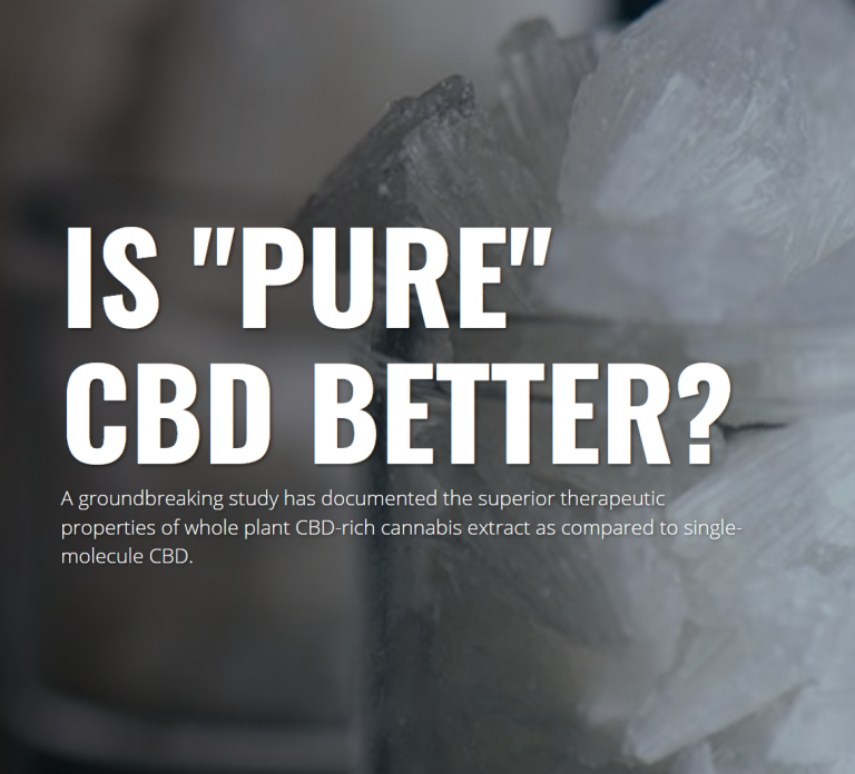 Screenshot 2022-06-17 174005