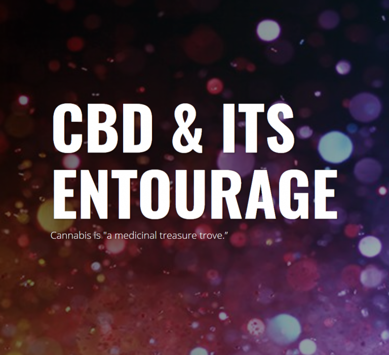 Screenshot 2022-09-02 003322