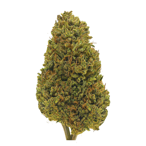 WHITE ASH™ Vape Total Effect  Cherry Wine - Image 2